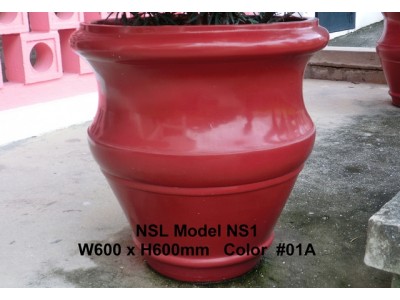 NSL Model NS1